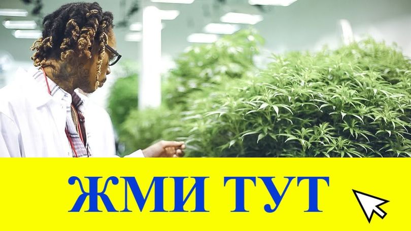 Купить наркотики в Прохладном